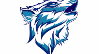 دانلود فیلترشکن FastFox VPN: Secure VPN Proxy با لینک مستقیم